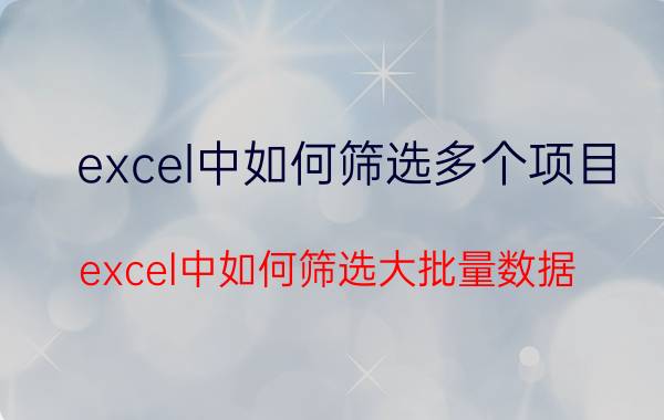 excel中如何筛选多个项目 excel中如何筛选大批量数据？